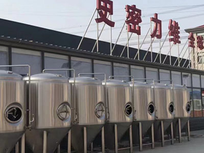 阜新精酿啤酒设备厂—如何判断精酿啤酒设备的密封件需要更换？